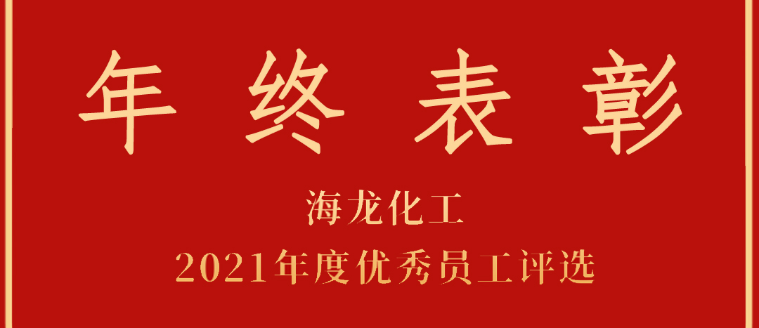 <strong>表彰！海龍化工2021年度優(yōu)秀員工優(yōu)秀部門評(píng)選</strong>