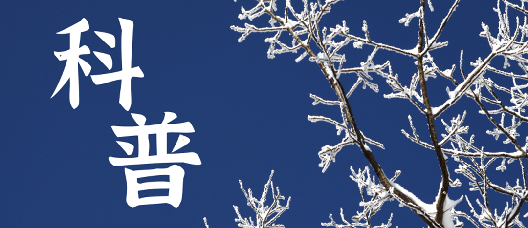 科普 | 冬季雨雪天氣?；愤\輸車輛注意事項