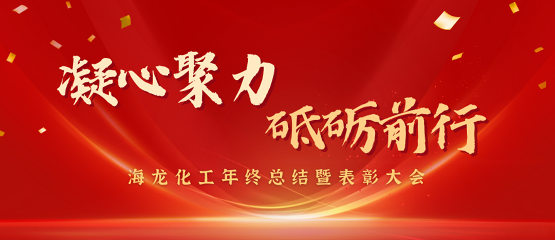 表彰 | 凝心聚力，砥礪前行，海龍化工年終總結(jié)暨表彰大會圓滿舉行